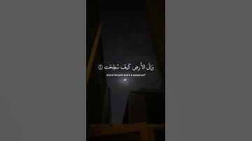 ﴿ أفلَا ينظرُون الى الإبلِ كيفَ خُلقت ﴾ سوره الغاشيه، عبدالرحمن مسعد#ارح_قلبك #قران_كريم