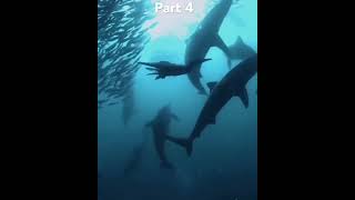 Fishing 🎣 part 4 #shortsvideo #viral