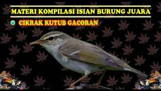 CIKRAK KUTUB GACORAN FULL MASTERAN KOMPILASI ISIAN BURUNG JUARA NASIONAL