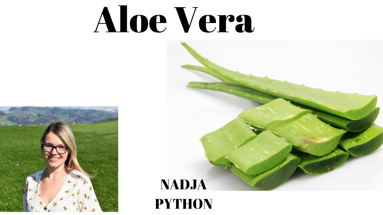 Aloe Vera Blatt verarbeiten - Naturkosmetik Hautpflege - fr trockene Haut