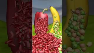 Chalenge Again And Again Cartoon Hindi Stories 