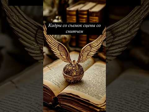Кадры со съемок сцены со снитчем 🎞️🎞️