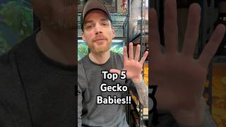 Top 5 gecko babies! #crestedgecko #reptiles #gecko