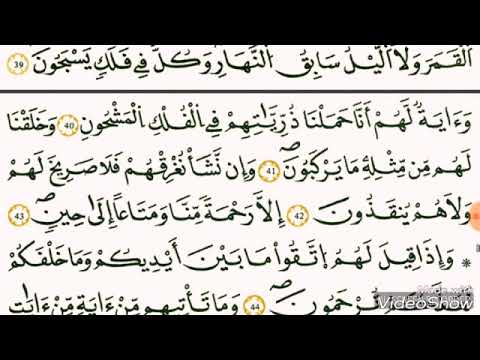 سورة يس القاري الشيخ وليد النائحي رواية قالون عن النافع 