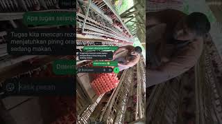 Download Lagu ORA perkoro nguber donyo. jaman Saiki ora due opo opo Ra di anggap menungso MP3