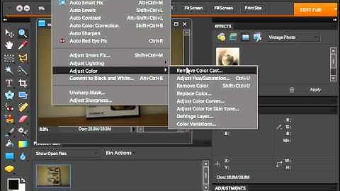Photoshop Elements 9.0 Tutorial Removing Color Casts Adobe Training Lesson 14.6