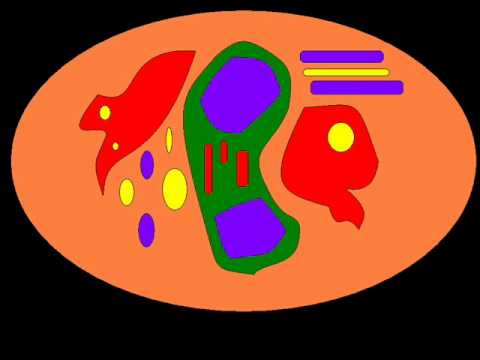 DJ SPACE RAVEN Vs WAVETRAXX - SANDRA'S SONG (DJ SPACE RAVEN MIX)