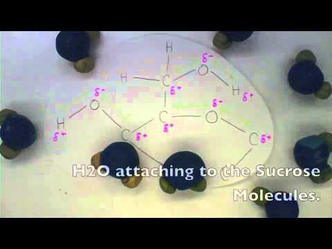 Sugar Dissolving in Water