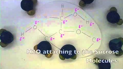 Sugar Dissolving in Water