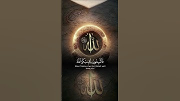 قرآن كريم _ تلاوة خاشعة #قرآن #راحة_نفسية #اكسبلور #tiktok #duet