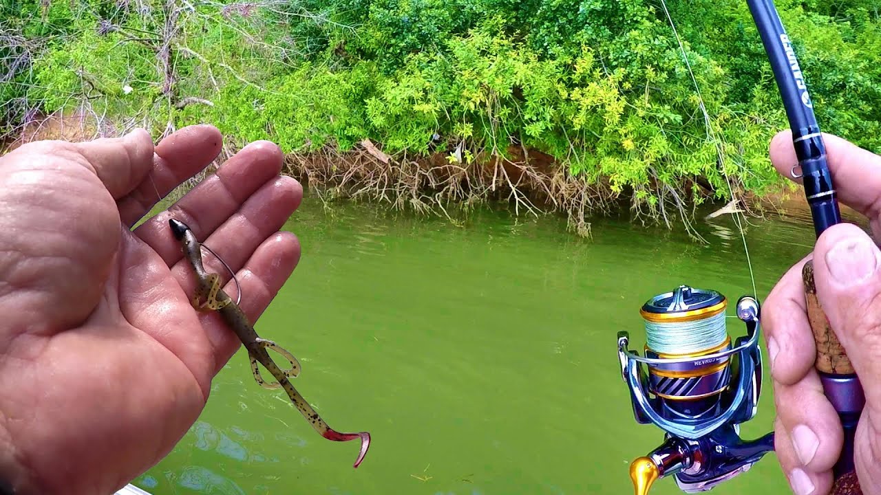 BASS FISHING SECRETS!!! Tips and Tricks For Catching More Fish! Bass