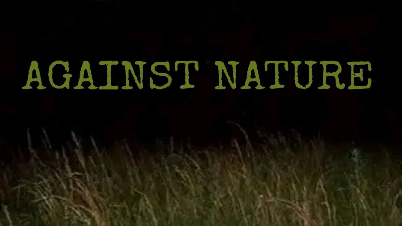 Почему в РФ ужасные политическая система и правосудие, и как это (не) исправить — Скабрезлость