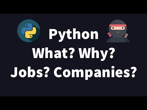 Python 3 - Basic Intro, Jobs and Opportunities