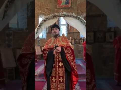 დეკანოზი შალვა კეკელია ♥️ შაბათის მსახურების ქადაგება. 28.03.2020