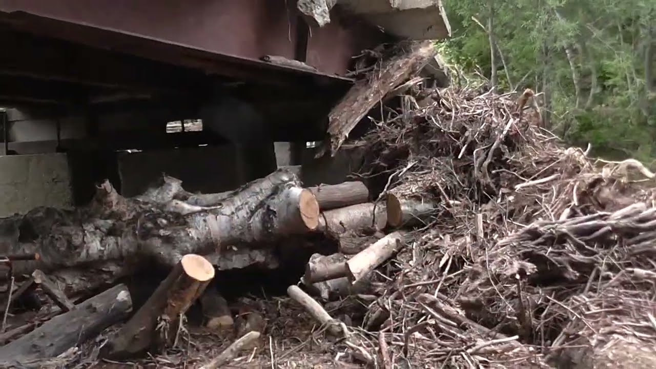 Разбор завала на речке 2022 г. - YouTube