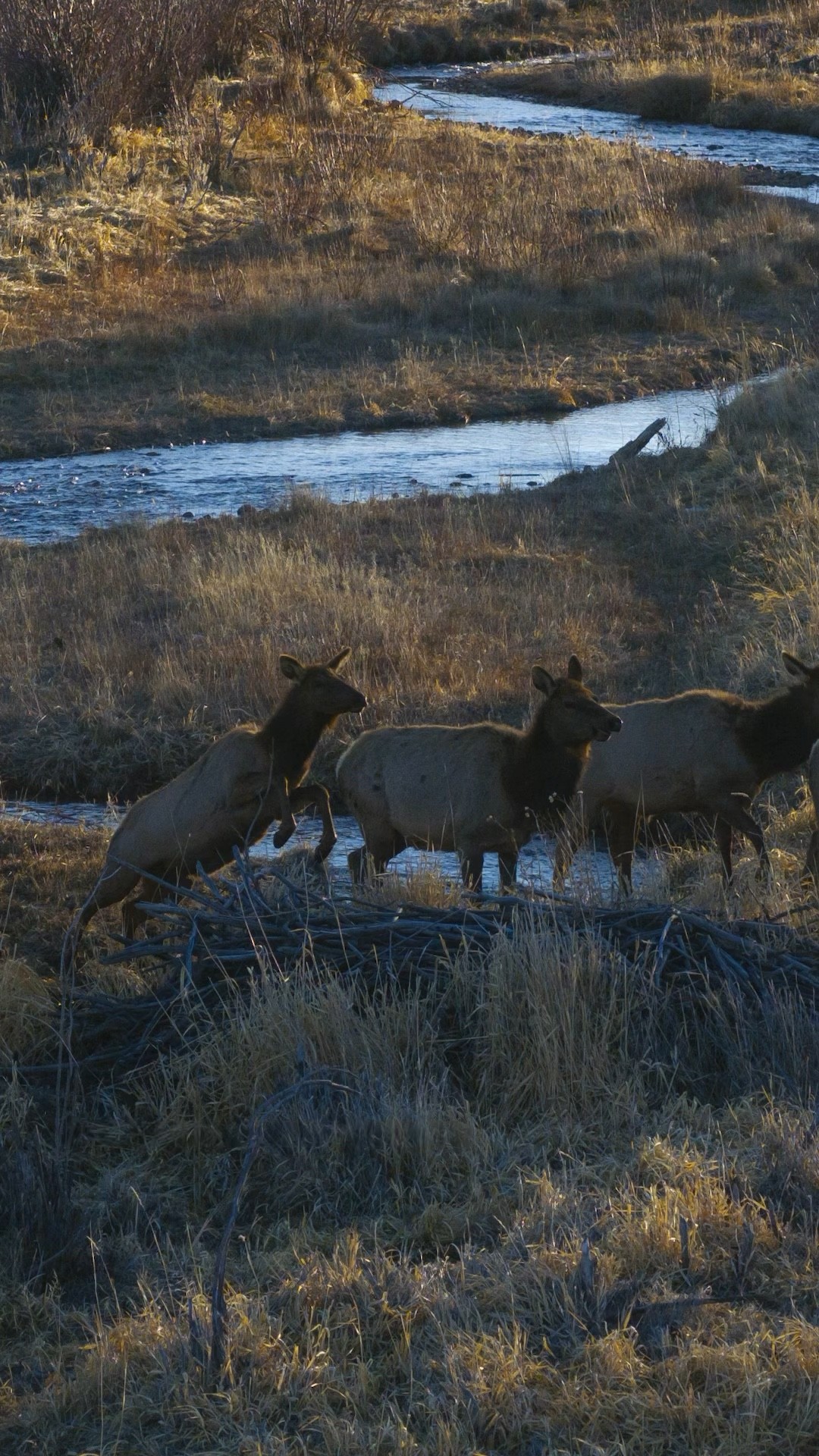 Paid Content for @toyotausa. Explore the rugged beauty of Colorado’s San Luis Valley
