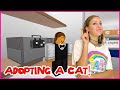 ADOPTING A CAT!