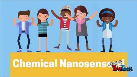 Chemical Nanosensors