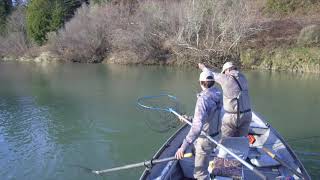 Oregon Steelhead bobber down June 2019