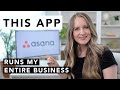 This APP runs my entire business (2020 Asana Tutorial)