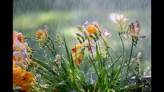 REIKI Sound of rain, healing, relaxing melody, sounds of nature