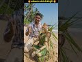 नारियल के पत्ते से शिव जी अद्भुत मूर्ति #shiv #shivshankar #shortsfeed #ai #viral #trending