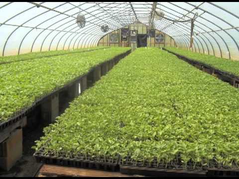 Watermelon Mid Atlantic Farm Tour