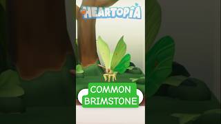 How to catch Common Brimstone in Heartopia
