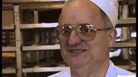 Understanding Bacteria