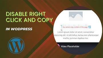 How to Disable Right Click and Copy in WordPress