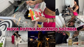 MINHA NOVA ROTINA MORANDO SOZINHA | organizei a casa + almoço | academia + fui no mercado