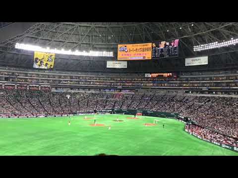 2019/5/2 ソフトバンク 藤本チャンテ