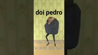 Doi Pedro