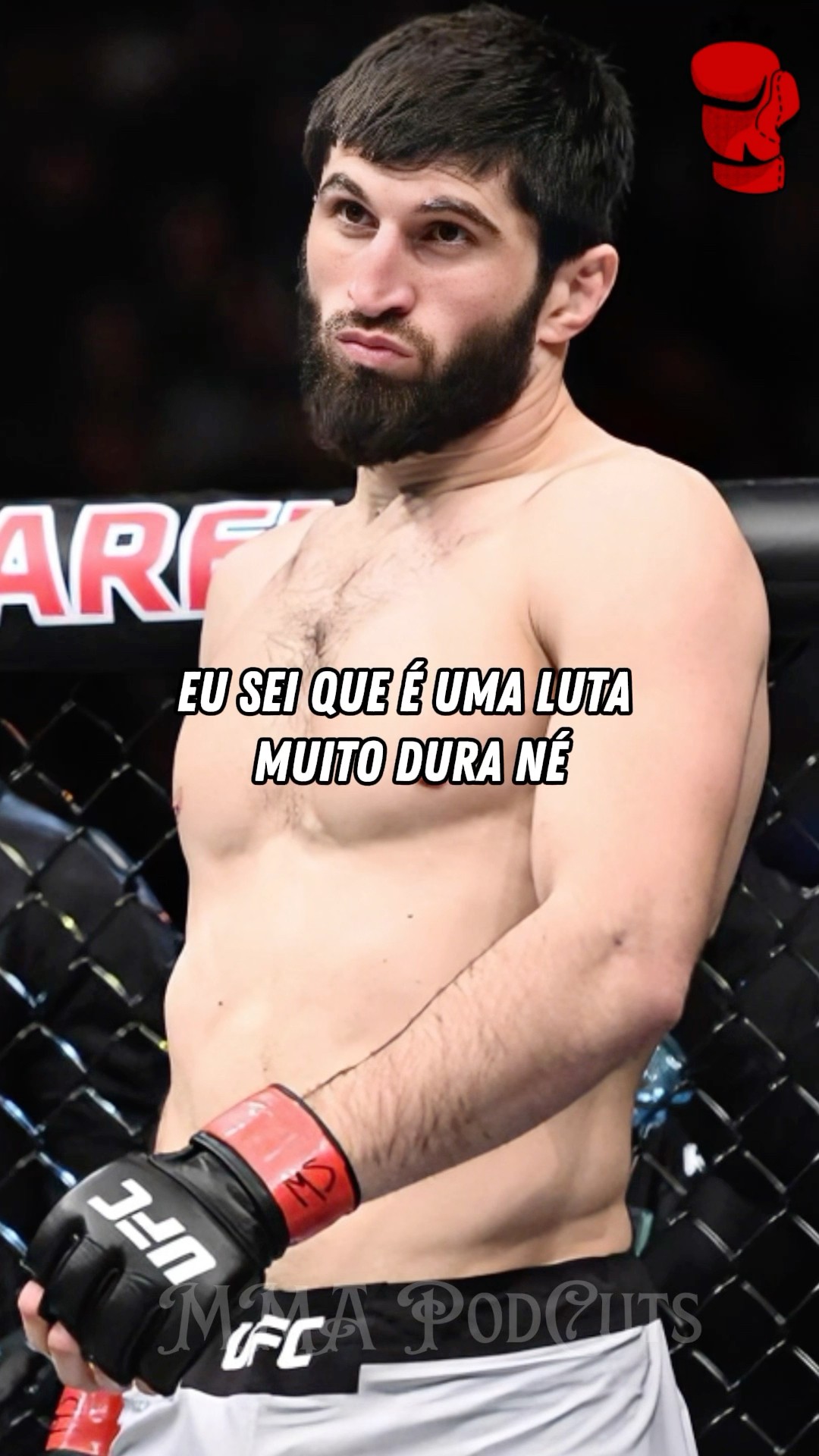 ALEX POATAN X ANKALAEV #mma #luta #boxe #ufc #shortsfeed #brasil #foryou