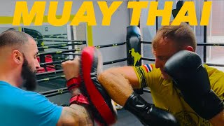 Muay Thai Pads Panza Gym