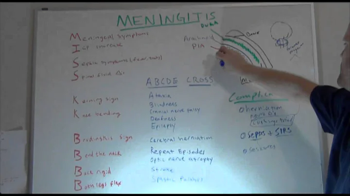 Meningitis Overview (NCLEX Neuro Review) | NURSING.com (NRSNG).com