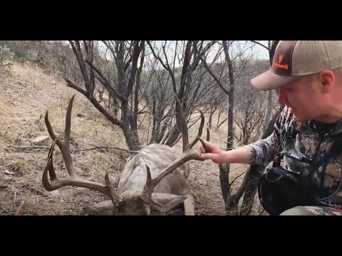Hunting Giant Mule Deer In Mexico