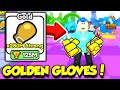 I bought the golden gloves and became the strongest player ever