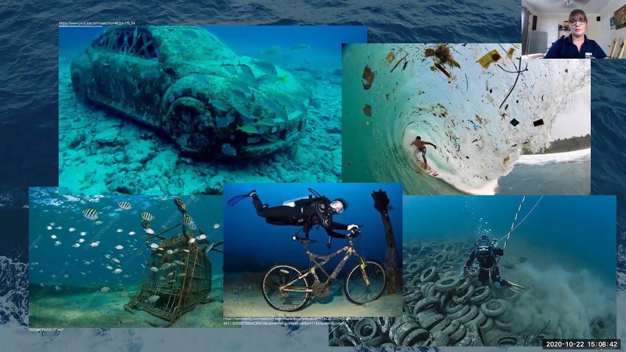 Zoom Series - Marine Debris and the Ocean with Erin Kimak