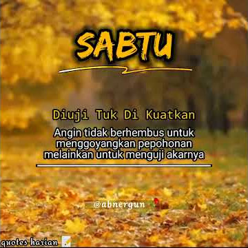 Storywa WA hari sabtu || lagu barat 30 detik