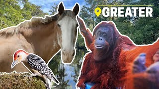 2025 Series Special | Greater