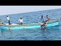 net Fishing videos bangda Fishing videos #netfishingvideos