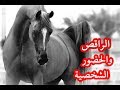 سبارتكوس الحصان العربي SPARTACUS TO سبارتكوس الحصان العربي SPARTACUS TO