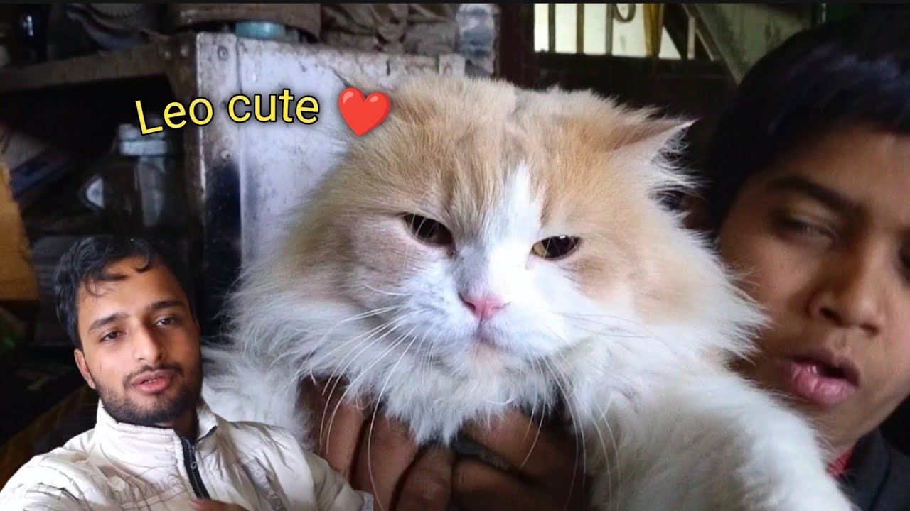 हम leo Ko bhi Le Aaye ❤️