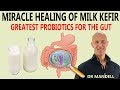 MIRACLE HEALING OF MILK KEFIR...GREATEST PROBIOTICS FOR THE GUT - Dr Alan Mandell, DC