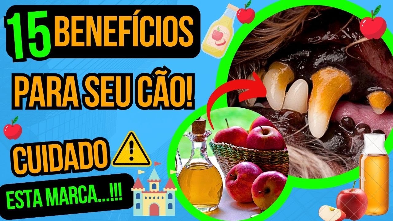 BENEFÍCIOS DO VINAGRE DE MAÇÃ PARA CACHORRO CURAR COCEIRA DERMATITE E INFEÇÕES COMO FAZER REMÉDIO