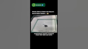 This Tiny Robot Walks on Water 🌊| HydroSpread Innovation 🦗#robotics #technology #innovation #science