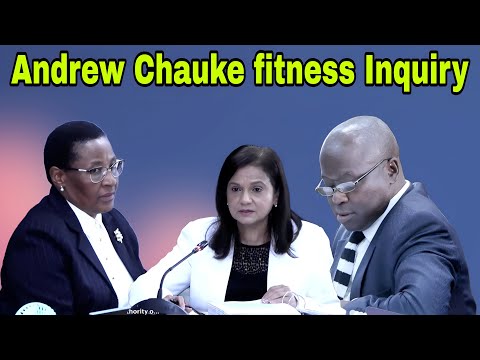 Inquiry Into Andrew Chauke Fitness To Hold Office South Gauteng Director Of Public Prosecutions