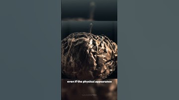 The Apple Theory 🍎 #apple #science #sciencefacts