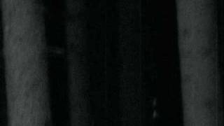 Vinterriket - Verloren in den Tiefen des Waldes